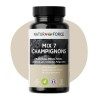 Mix 7 Champignons BIO - Reishi, Chaga, Shiitake, Maitake, Crinière de Lion, Cordyceps, Fungus blanc - 60 gélules