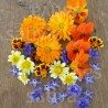 Fleurs comestibles semences BIO