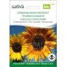 Tournesol ramifié semences BIO