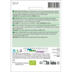 Tournesol ramifié semences BIO