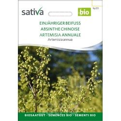 Absinthe Chinoise - Artemisia annua – Semences Bio
