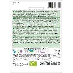 Absinthe Chinoise - Artemisia annua – Semences Bio