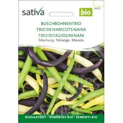 Trio de Haricots Nains - Semences BIO