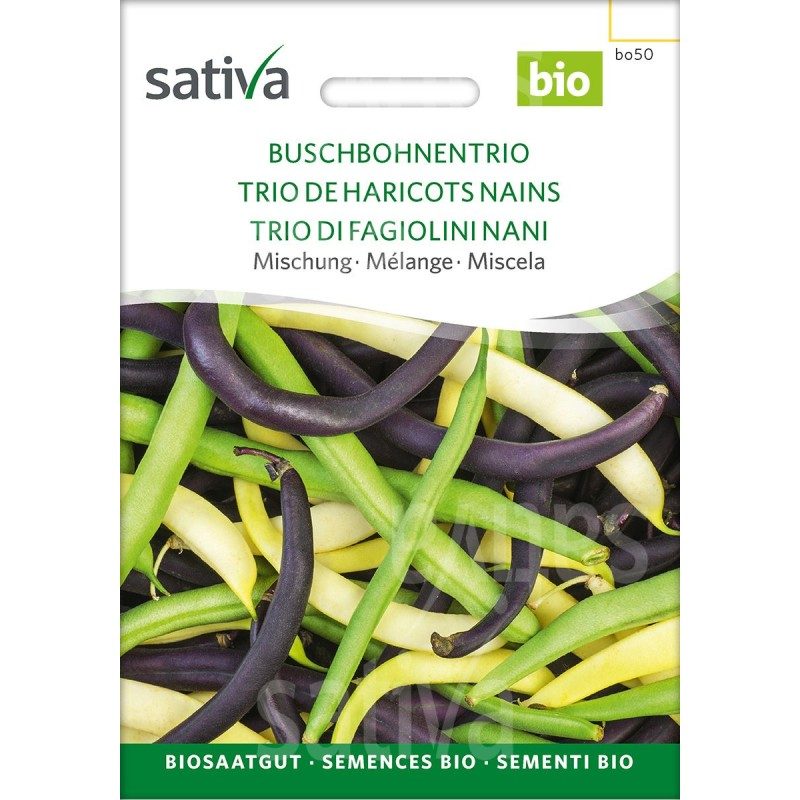Trio de Haricots Nains - Semences BIO
