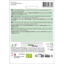 Trio de Haricots Nains - Semences BIO
