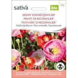 Pavot 'De Reconvilier' – Papaver rhoeas - Semences BIO