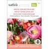 Pavot 'De Reconvilier' – Papaver rhoeas - Semences BIO