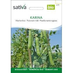 Pois Nain Ridé Bio « Karina » - Semences BIO