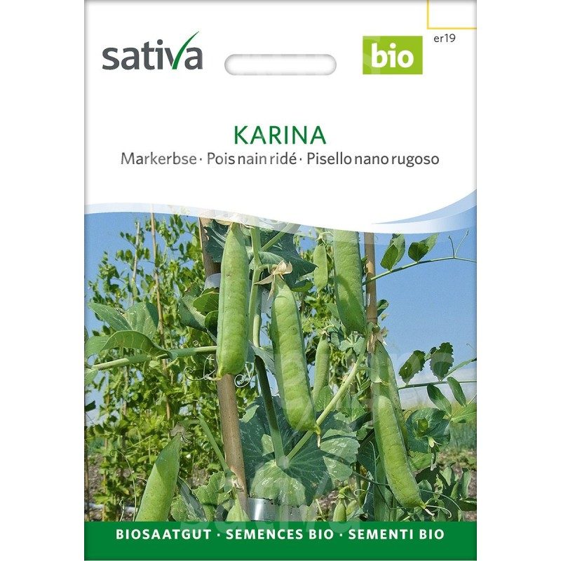 Pois Nain Ridé Bio « Karina » - Semences BIO