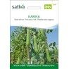 Pois Nain Ridé Bio « Karina » - Semences BIO