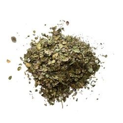 Tisane Jujubier feuilles (Sidr) - Ziziphus ziziphus