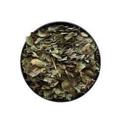 Tisane Jujubier feuilles (Sidr) - Ziziphus ziziphus