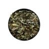 Tisane Jujubier feuilles (Sidr) - Ziziphus ziziphus