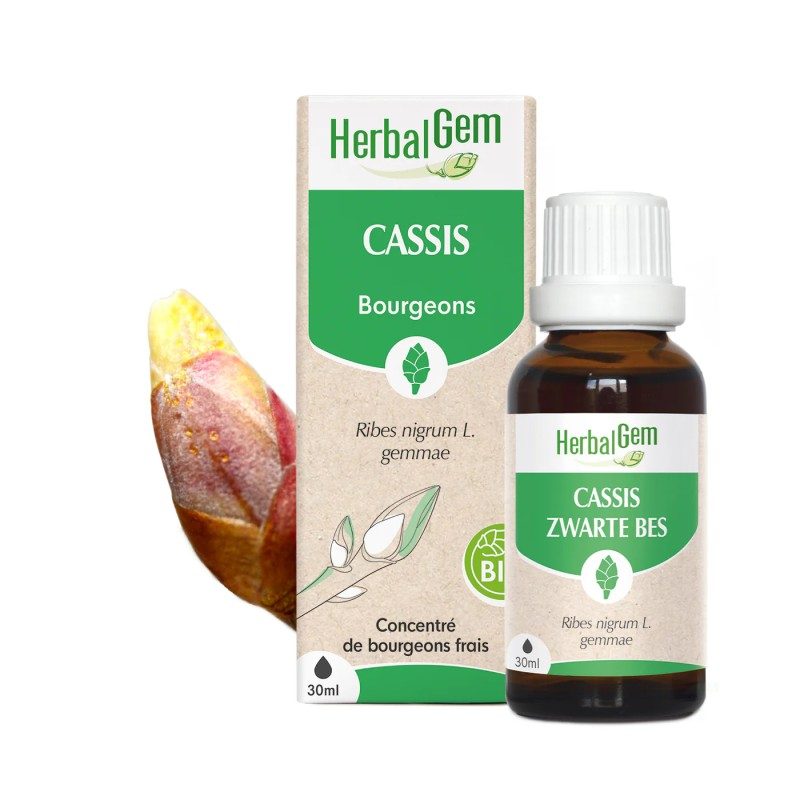 BOURGEON DE CASSIS BIO - HERBALGEM - 30ml