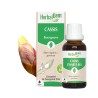 BOURGEON DE CASSIS BIO - HERBALGEM - 30ml
