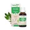 Bourgeon de Figuier Bio – Digestion, stress & sommeil naturel | Gemmothérapie HerbalGem