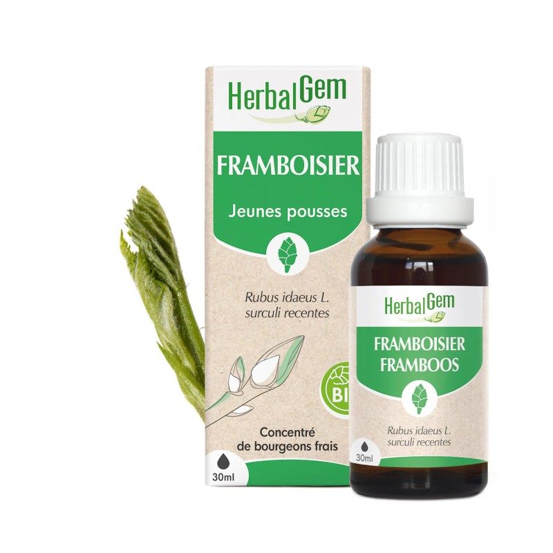 BOURGEONS DE FRAMBOISIER BIO - HERBALGEM - 30ml