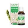 BOURGEONS DE FRAMBOISIER BIO - HERBALGEM - 30ml