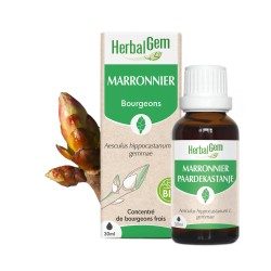 Bourgeons de Marronnier Bio – Circulation jambes lourdes & petit bassin | Gemmothérapie HerbalGem