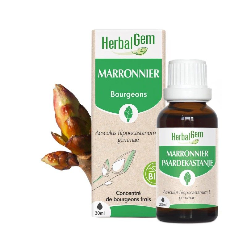 Bourgeons de Marronnier Bio – Circulation jambes lourdes & petit bassin | Gemmothérapie HerbalGem