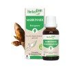 Bourgeons de Marronnier Bio – Circulation jambes lourdes & petit bassin | Gemmothérapie HerbalGem