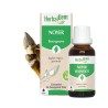 Bourgeon de Noyer Bio – Flore intestinale, digestion & immunité | Gemmothérapie HerbalGem