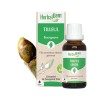BOURGEON DE TILLEUL BIO - HERBALGEM - 30ml