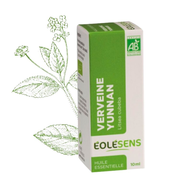 Huile Essentielle de Verveine Yunnan BIO – Litsée citronnée | 10 ml | Anti-stress naturel