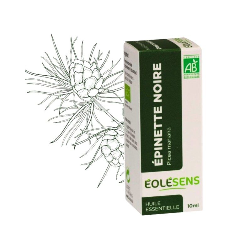 Huile essentielle d’Épinette noire bio – Diffusion & massage | 10 ml
