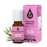 Huile essentielle d’Eucalyptus mentholé (Eucalyptus dives Schauer) - 10 ml