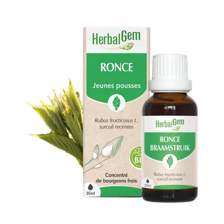 Ronce Bio Herbalgem 30 ml – Jeunes pousses