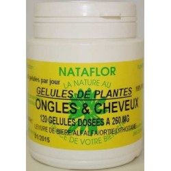 Ongles et cheveux 120 gélules 260 mg poudre pure