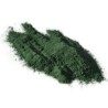 Spirulina 1 Kg PULVER Spirulina maxima
