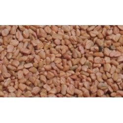 Fenugrec semence 250 g POUDRE Trigonella foenum-graecum