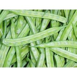 Guar-Gummi 1 Kg PULVER Cyamopsis tetragonolobus
