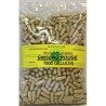 GELULES GINSENG ROUGE panax meyer 360 mg 1000 GELULES