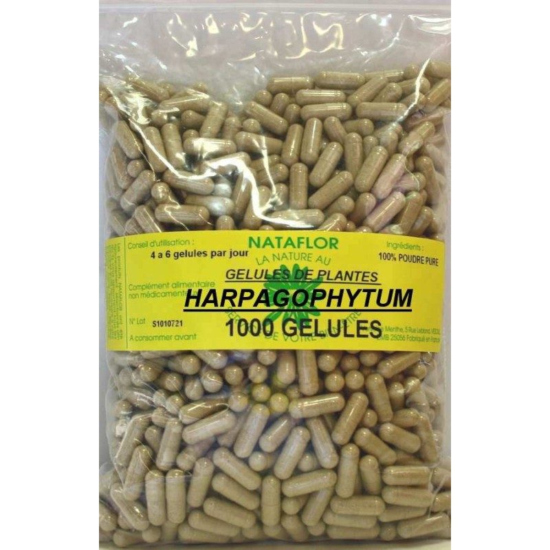 GELULES HARPAGOPHYTUM 300 mg 1000 GELULES GELULES HARPAGOPHYTUM 300 mg 1000 GELULES