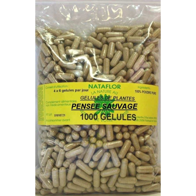GELULES PENSEE SAUVAGE plante 250 mg 1000 GELULES GELULES PENSEE SAUVAGE plante 250 mg 1000 GELULES