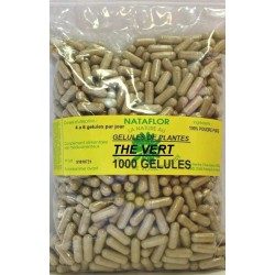 GELULES THE VERT feuille 280 mg 1000 GELULES