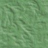 Argile verte 250 g POUDRE