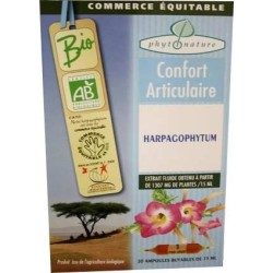 Ampoules de plantes harpagophytum.
