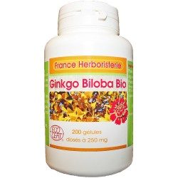 GELULES GINGKO-BILOBA 200 gélules dosées à 250 mg.