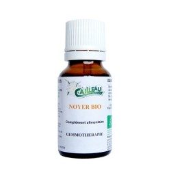 Noyer gemmothérapie BIO.