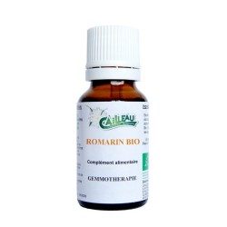 Romarin gemmothérapie BIO.