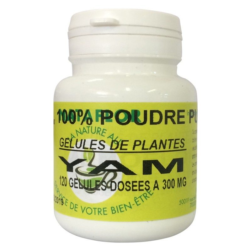 GELULES YAM 300 mg 16% diogénine GELULES YAM 300 mg 16% diogénine