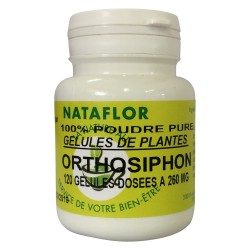 ORTHOSIPHON GELULES Blatt 260 mg 