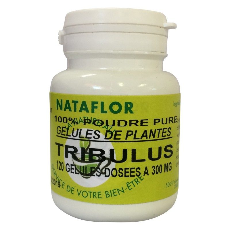 GELULES TRIBULUS 300mg. GELULES TRIBULUS 300mg.