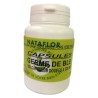 HUILE GERME DE BLE 500 mg.