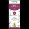 SIROP DES FUMEURS BIO 250 ml, Pour le bien-être respiratoire du fumeur