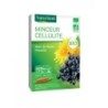 Minceur Cellulite Bio 20 Ampoules Buvables de 10 ml